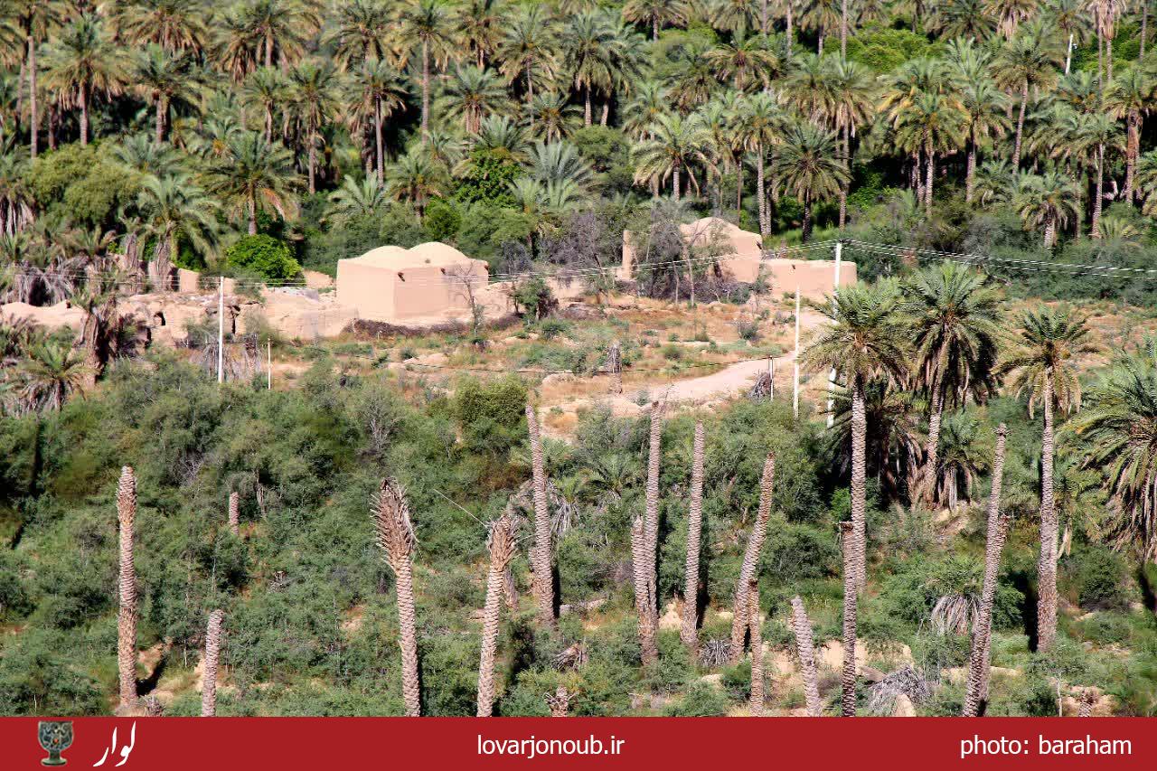 بندر دوساری