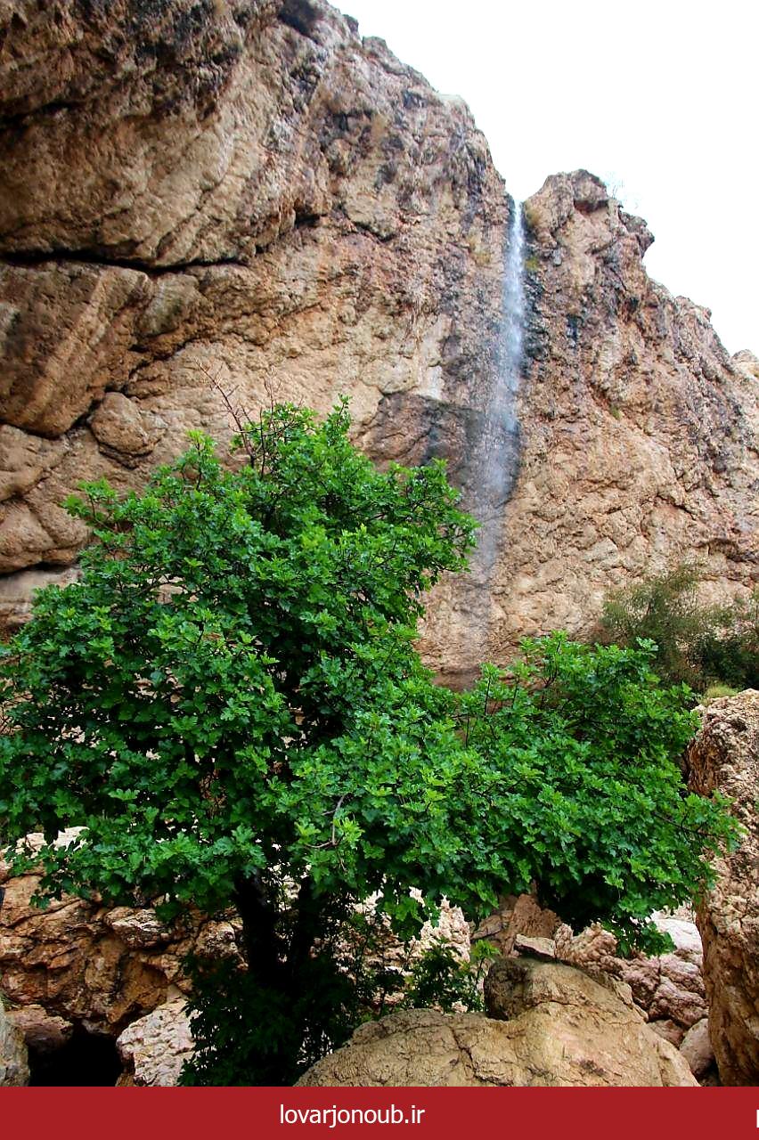بندر دوساری