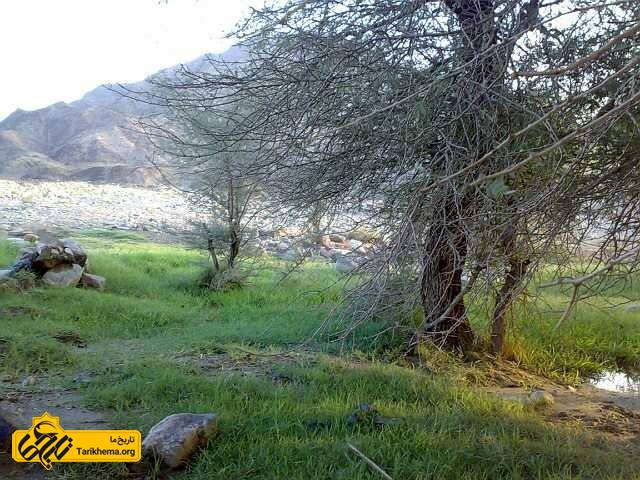 پناهگاه حیات وحش مهروئیه فاریاب
