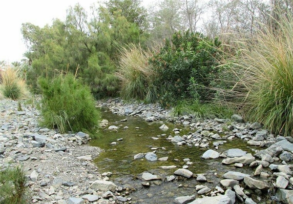 روستای مارز قلعه گنج