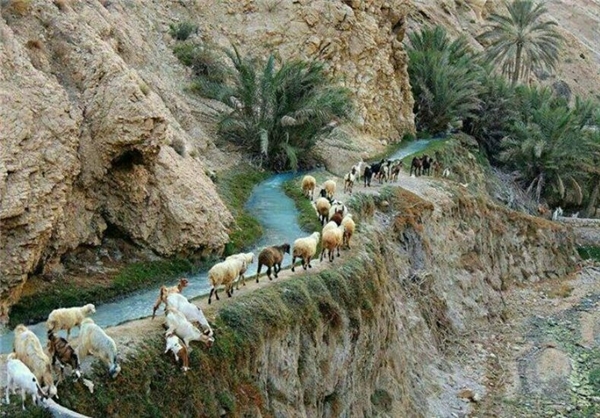 روستای مارز قلعه گنج