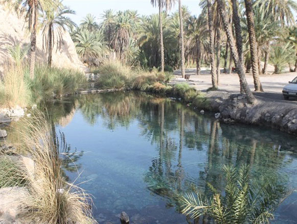 چشمه سبزپوشان برغنی