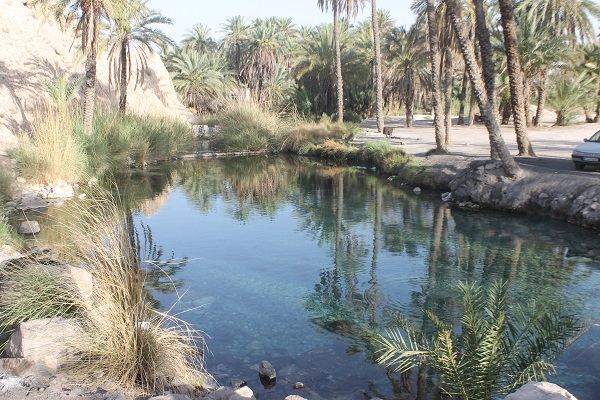 چشمه سبزپوشان برغنی