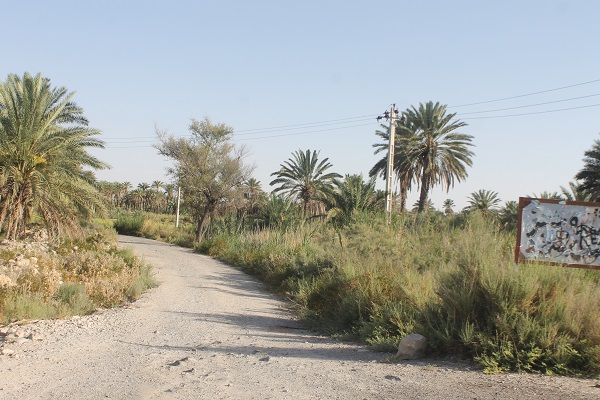 چشمه سبزپوشان برغنی