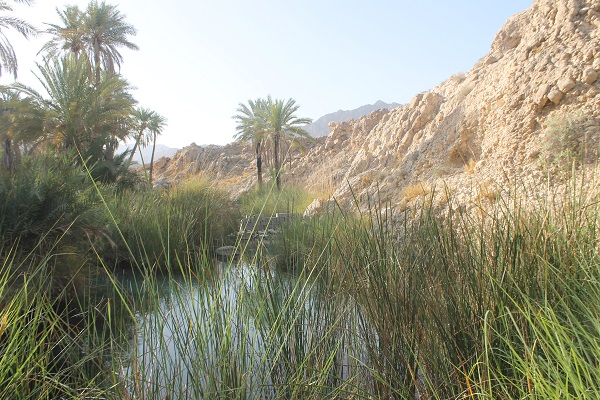 چشمه سبزپوشان برغنی