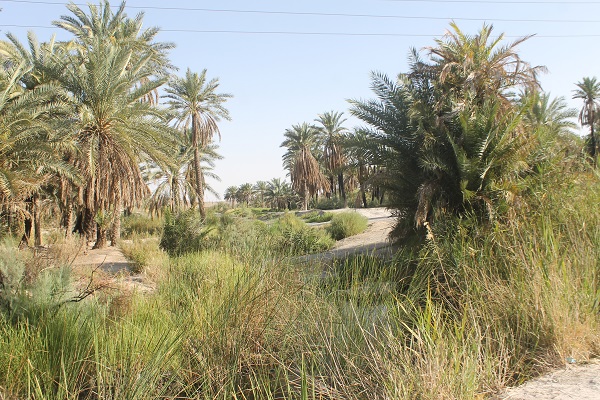 چشمه سبزپوشان برغنی