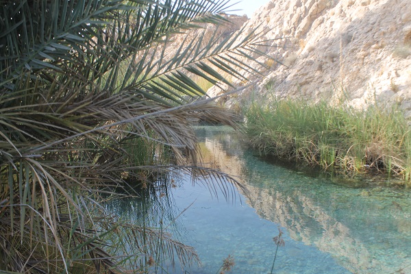 چشمه سبزپوشان برغنی