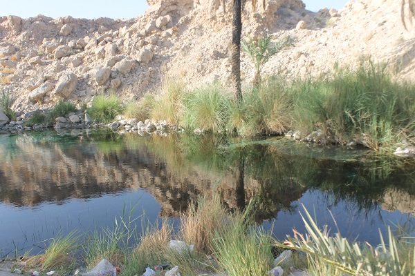 چشمه سبزپوشان برغنی