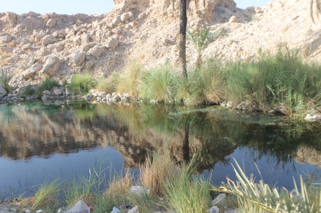 چشمه سبزپوشان برغنی
