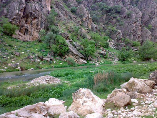 میان تنگ منصوری کرمانشاه