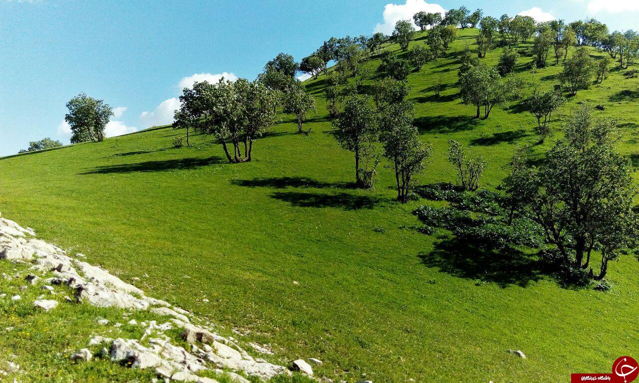 میاندار گیلان غرب