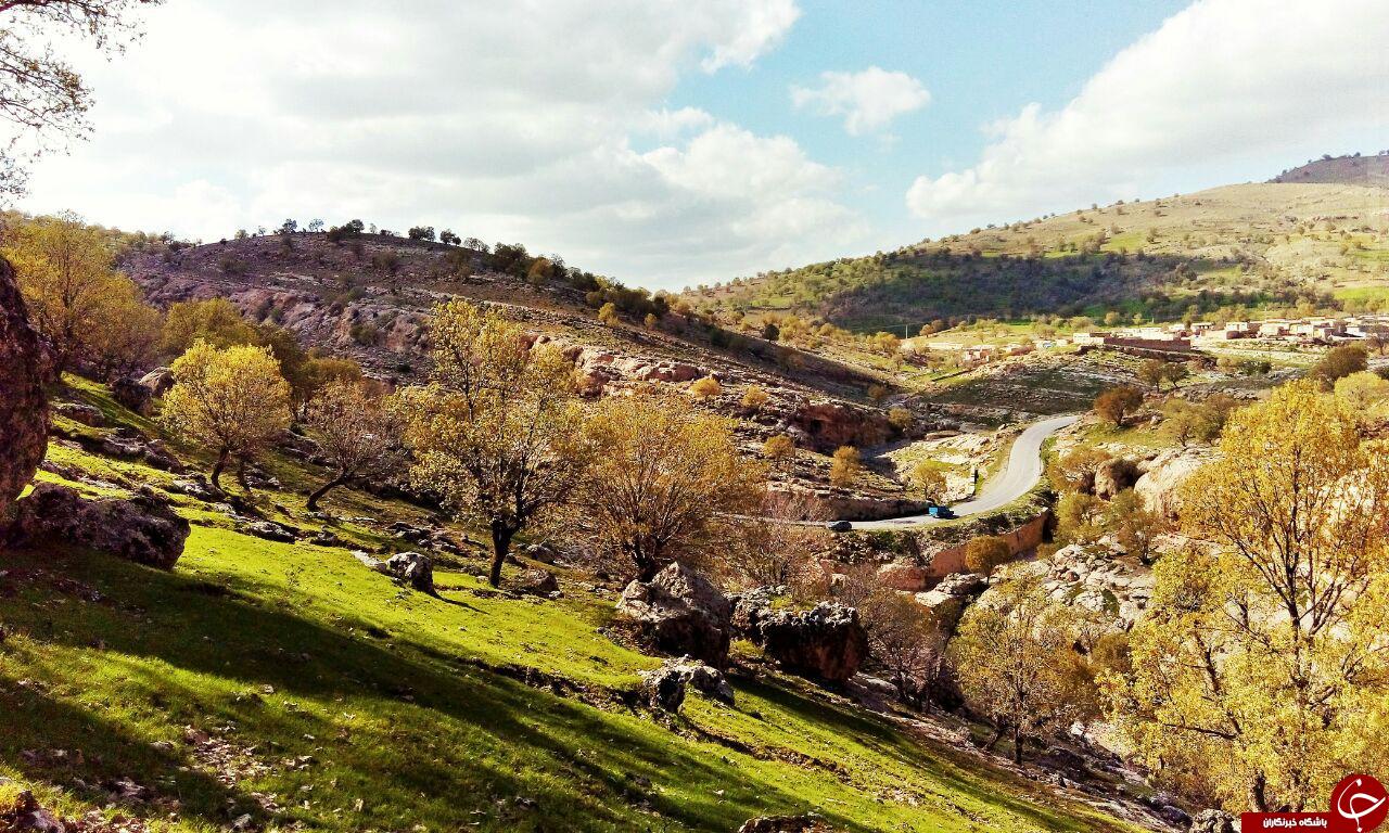 میاندار گیلان غرب