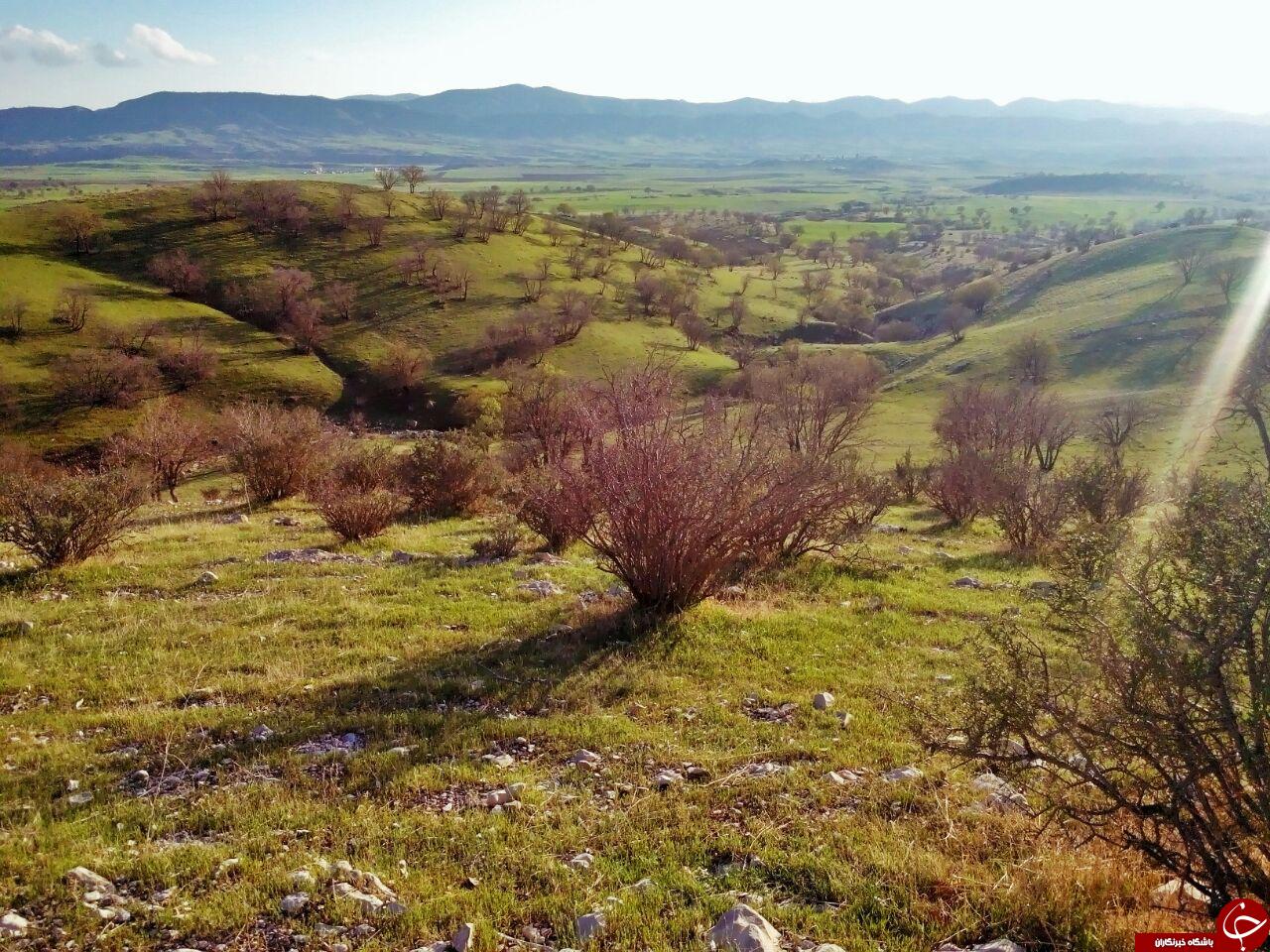 میاندار گیلان غرب