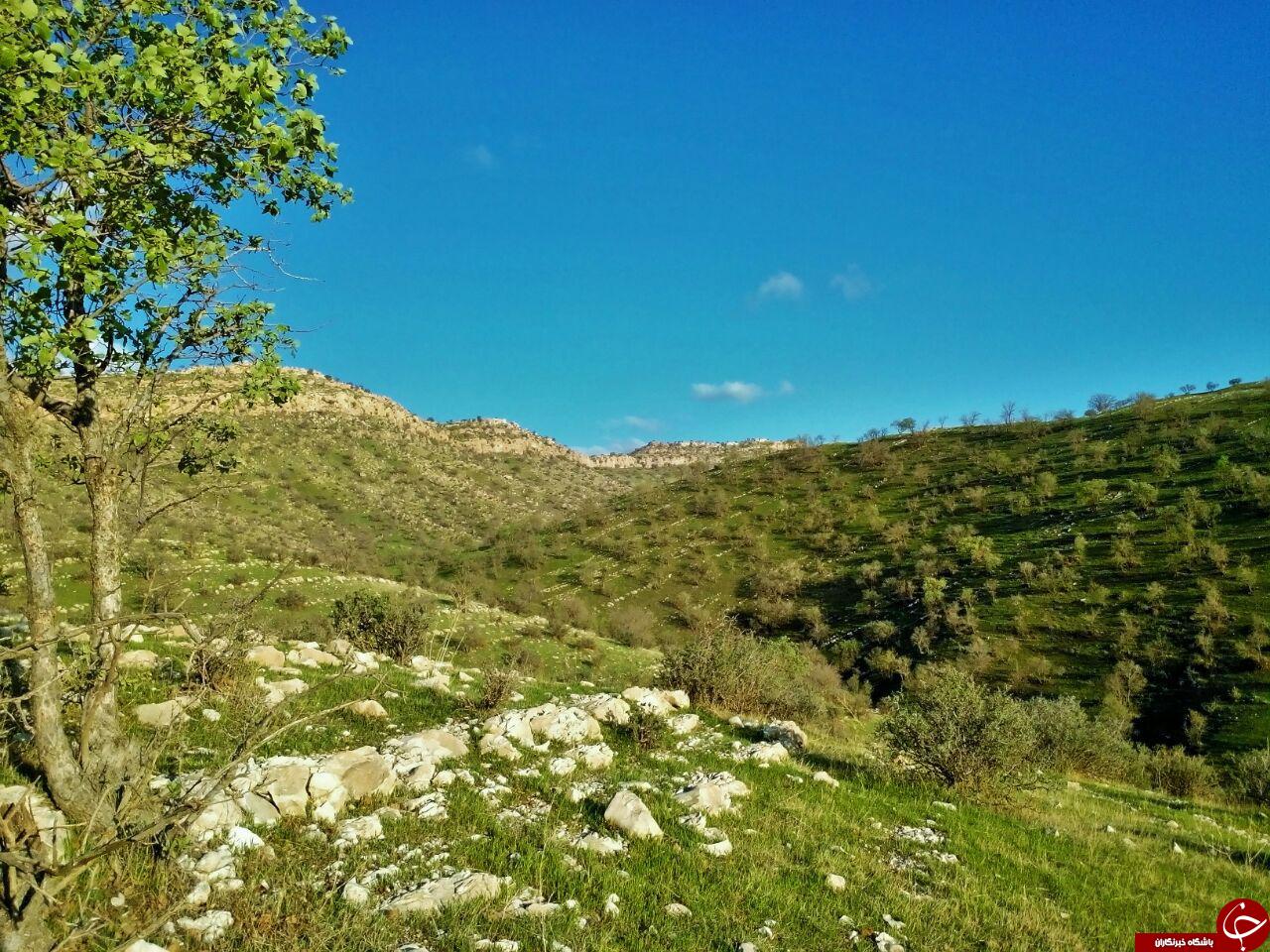 میاندار گیلان غرب