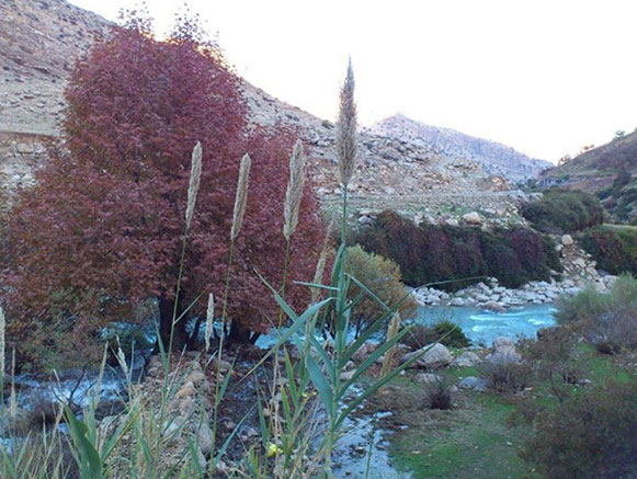 موگرمون لنده