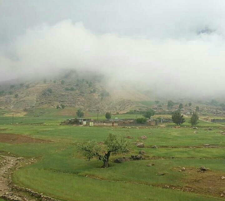 موگرمون لنده