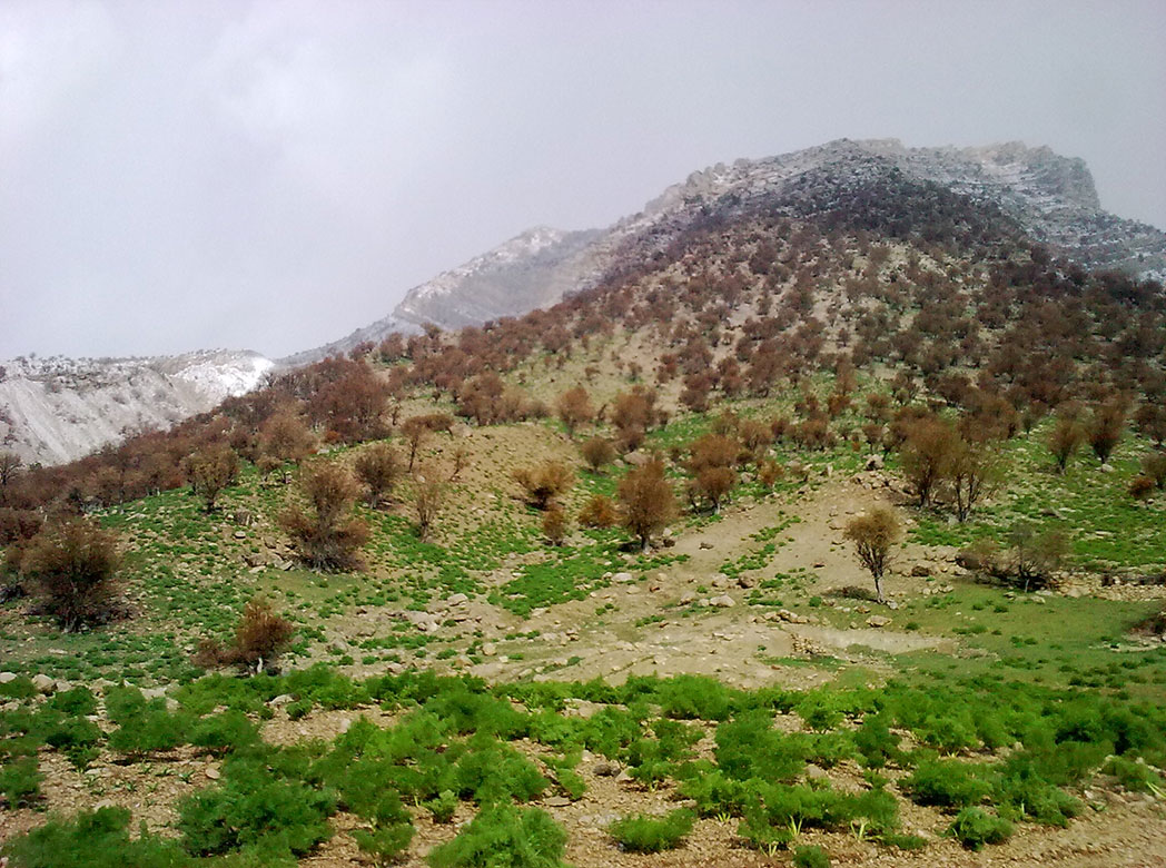 موگرمون لنده