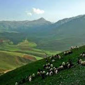 روستای بیمضرته