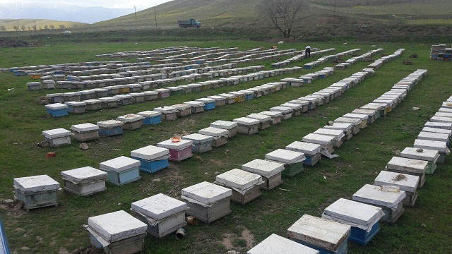 روستای چورس چایپاره