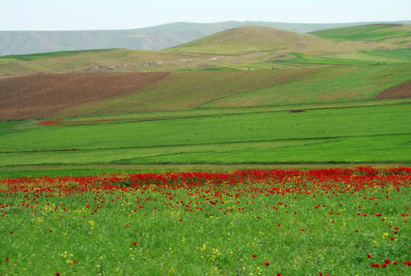 پارک ساحلی ارس