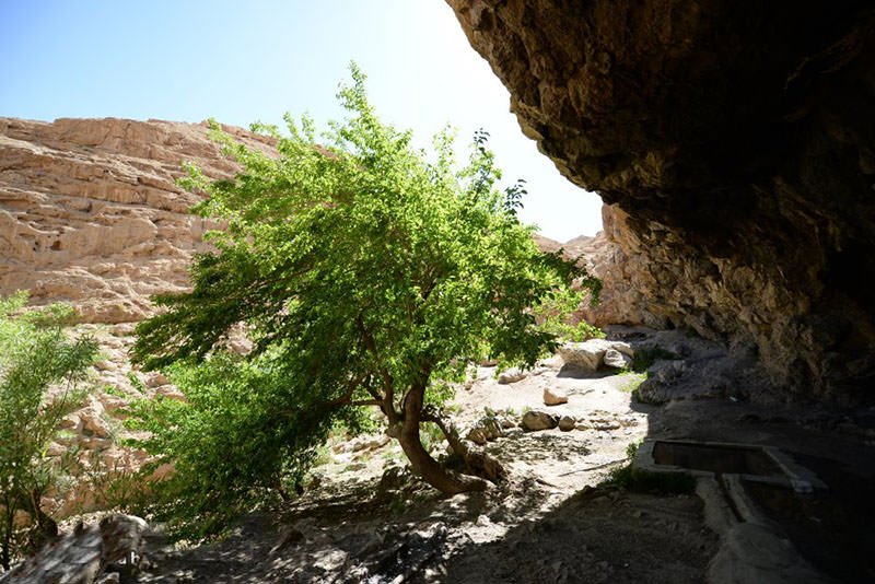 چشمه لادر خمینی شهر