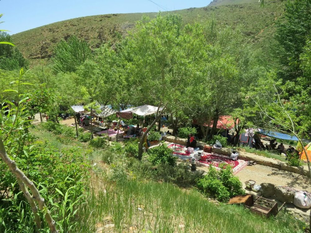 سرچشمه افوس فریدن