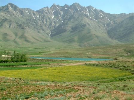 سرچشمه افوس فریدن