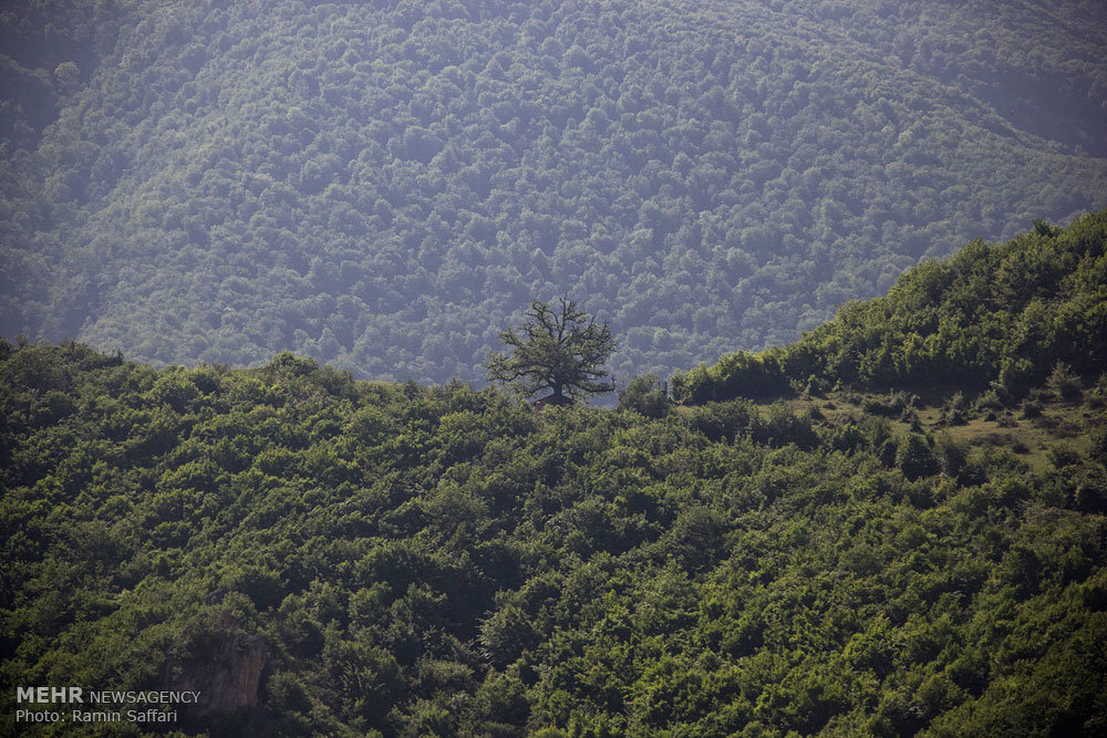 روستای زیارت گرگان