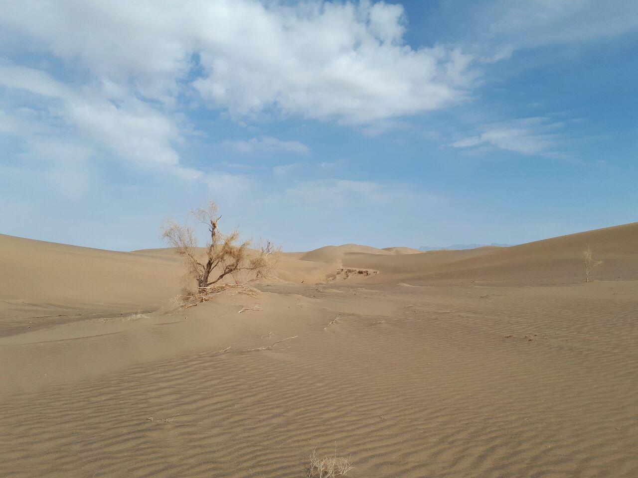 کویر حلوان طبس