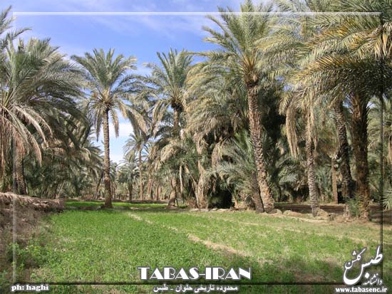 کویر حلوان طبس
