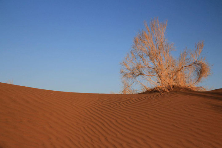 کویر سیاه‌کوه مقصدی مناسب برای گردشگری 