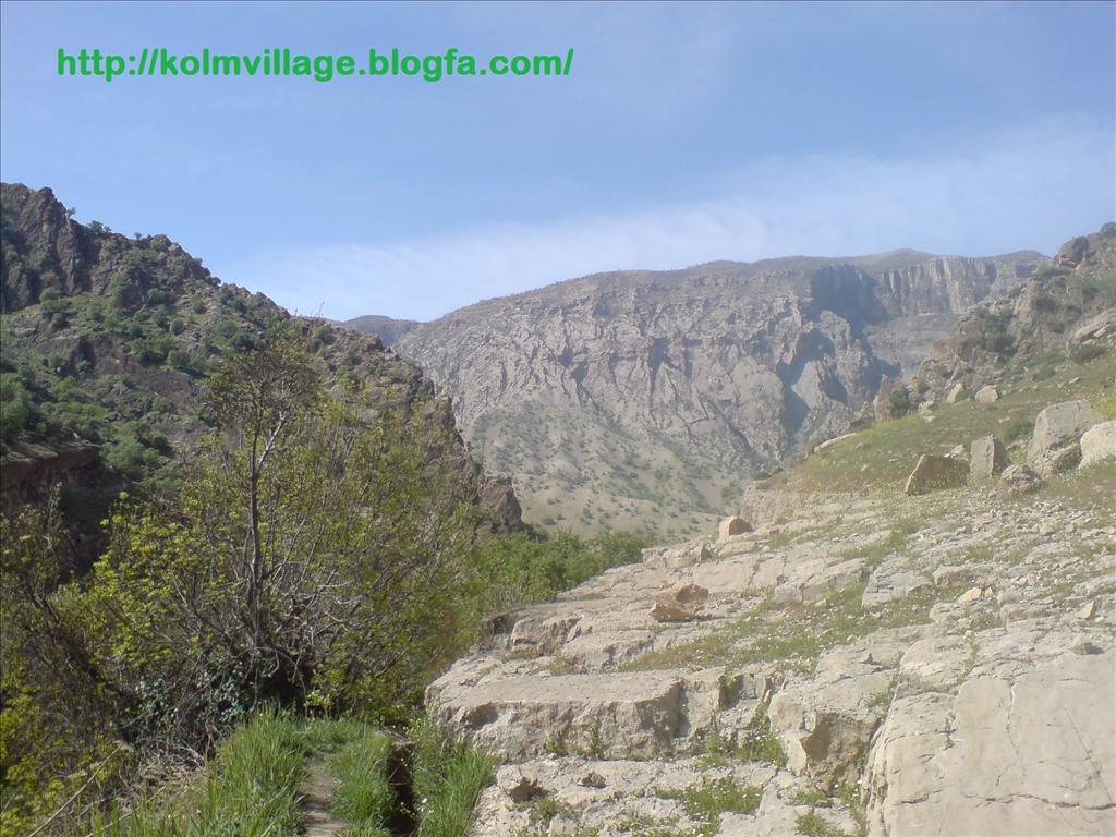 روستای کلم