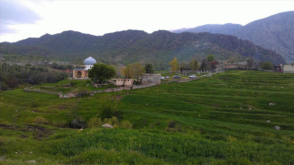 روستای کلم