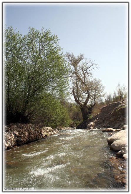 روستای کلم