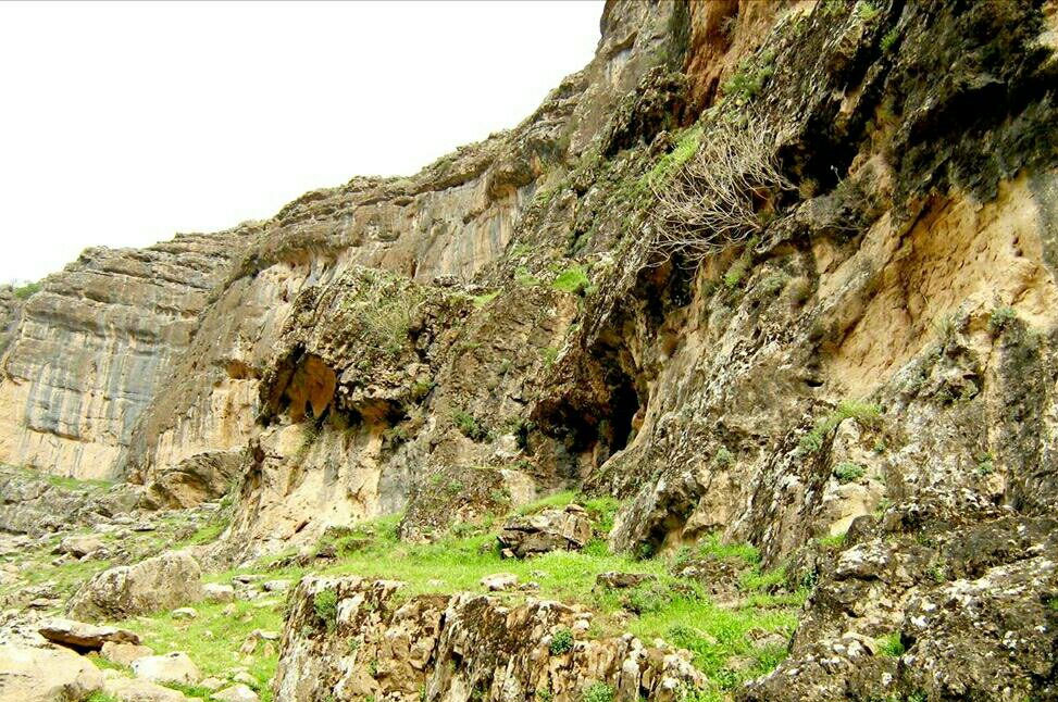 تنگ شمشه