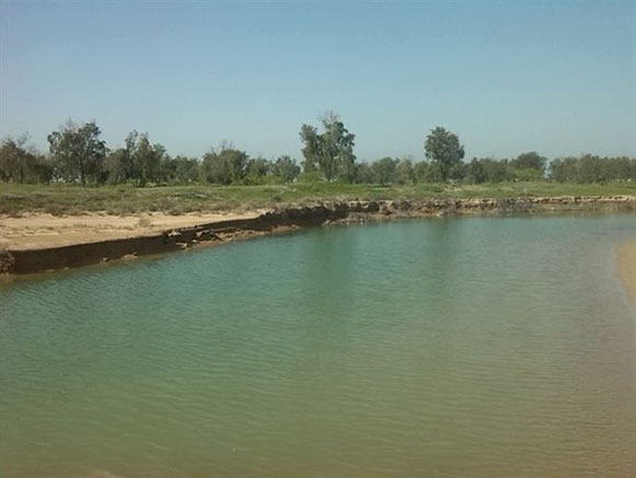 بندر حماد دیلم