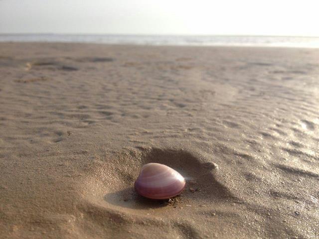 بندر حماد دیلم