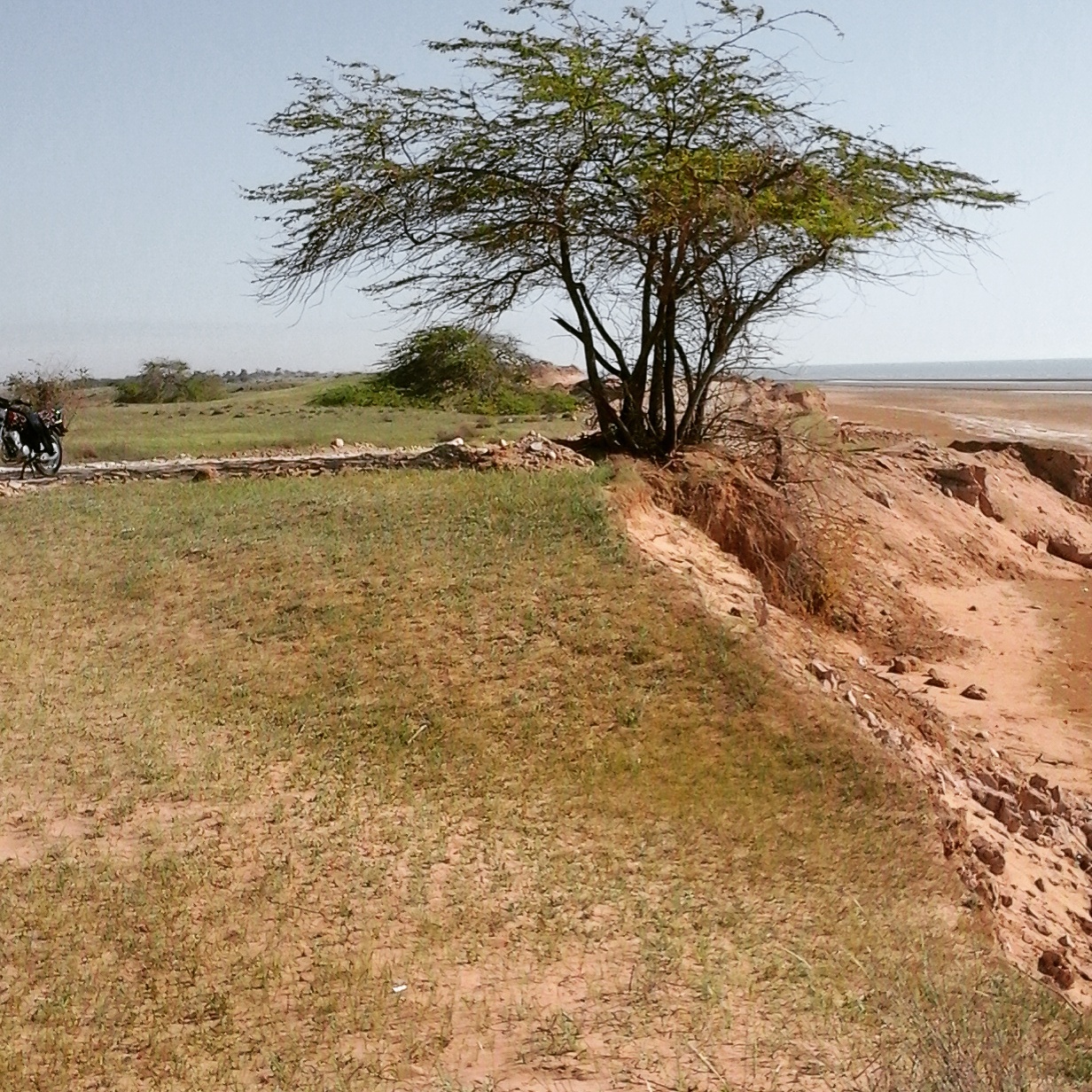 بندر حماد دیلم
