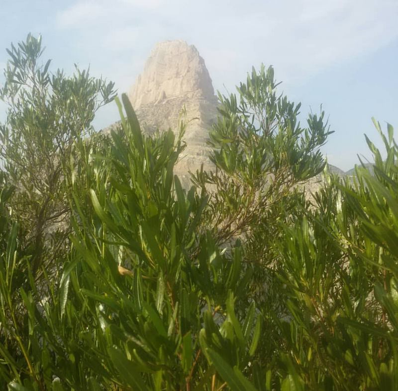 کوه پردیس جم