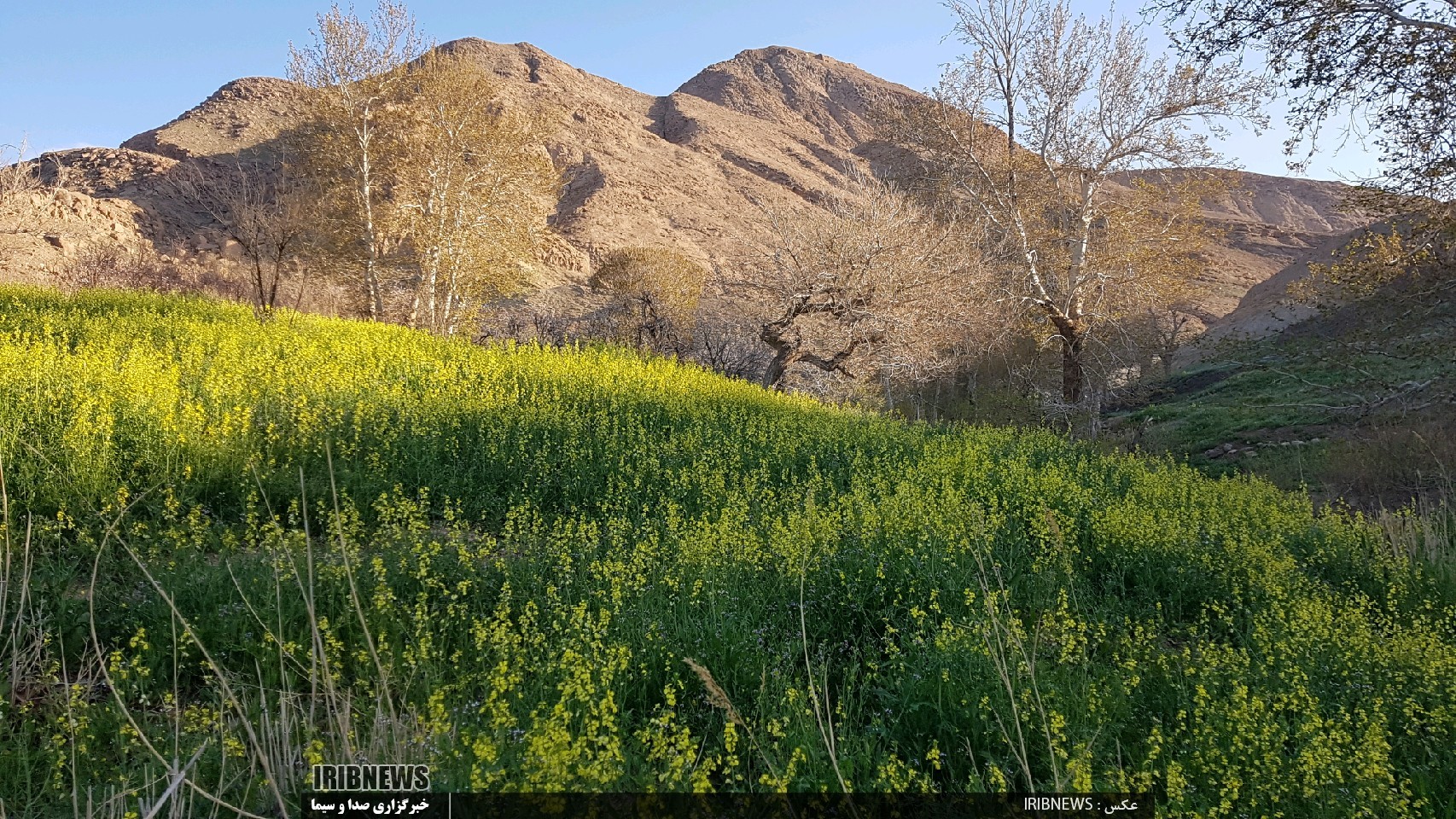 روستای مزار بجستان