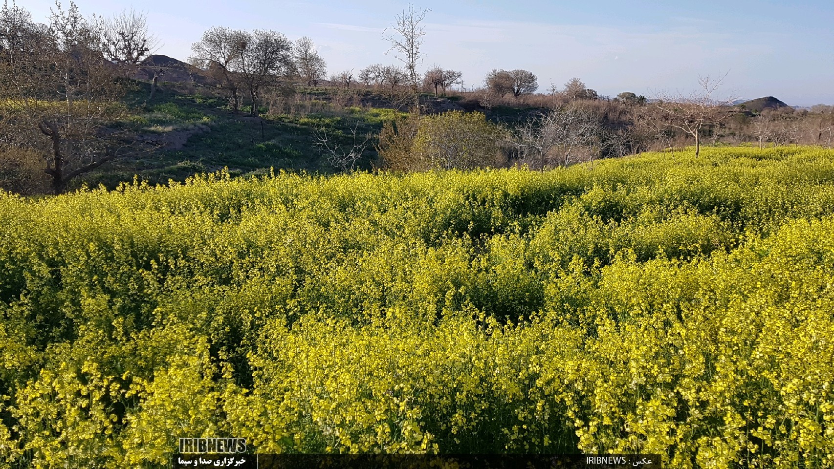 روستای مزار بجستان