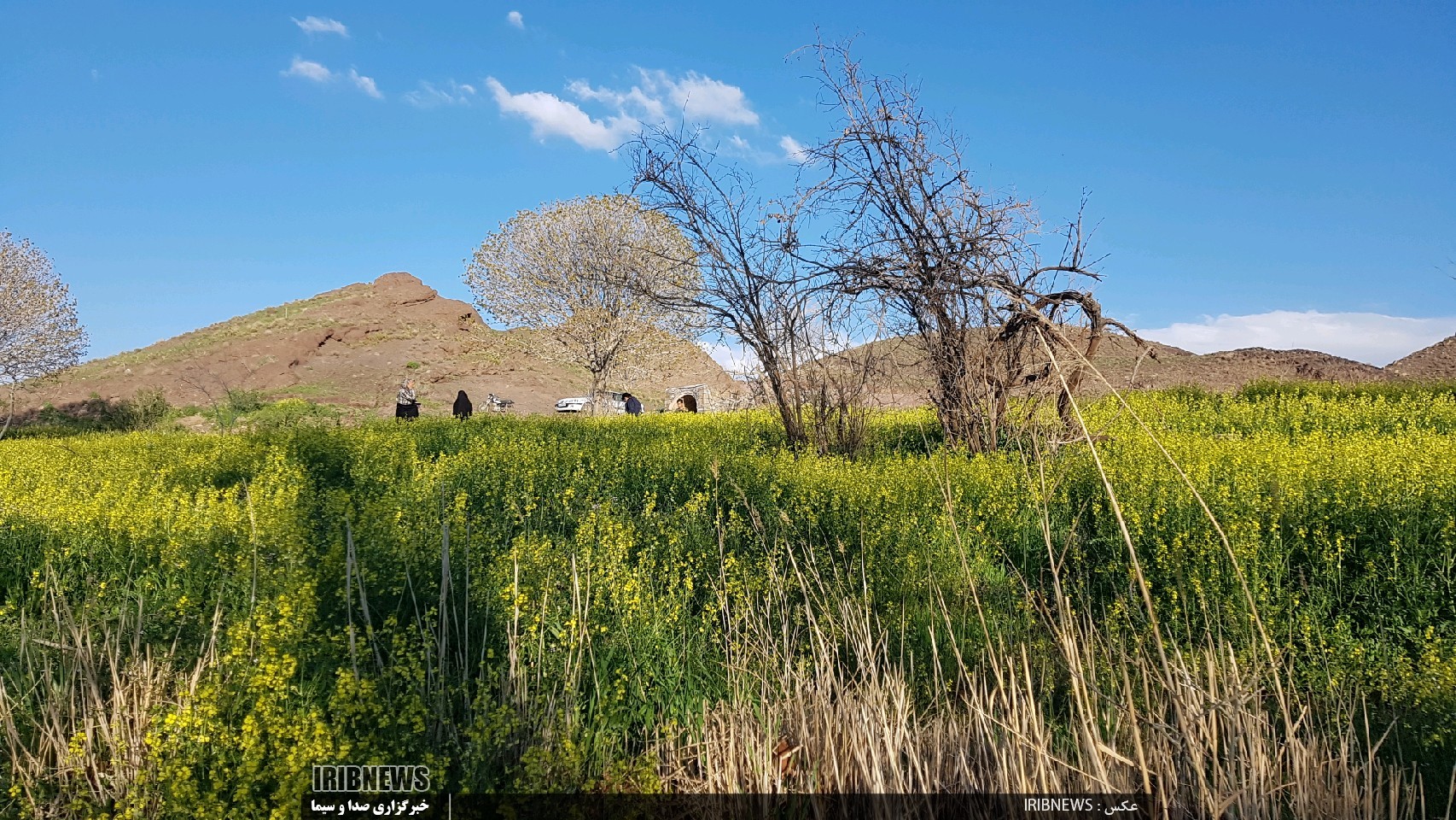 روستای مزار بجستان