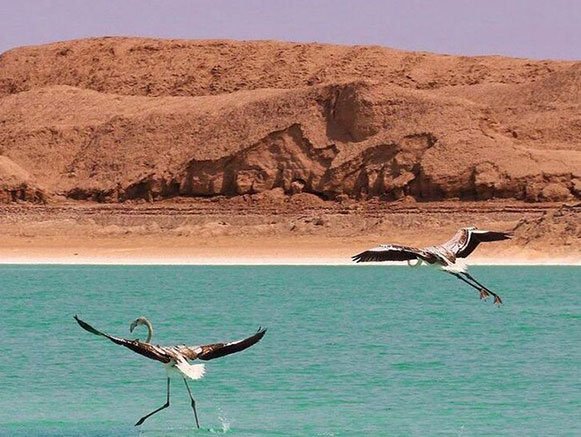 دریاچه جوان شهداد
