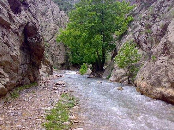 ابدال آباد تربت جام