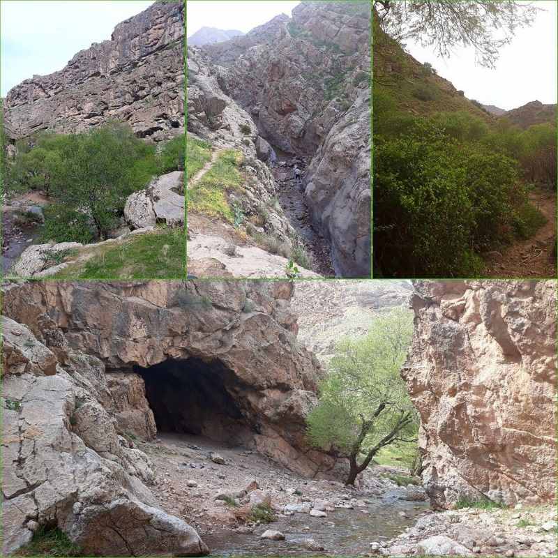 ابدال آباد تربت جام