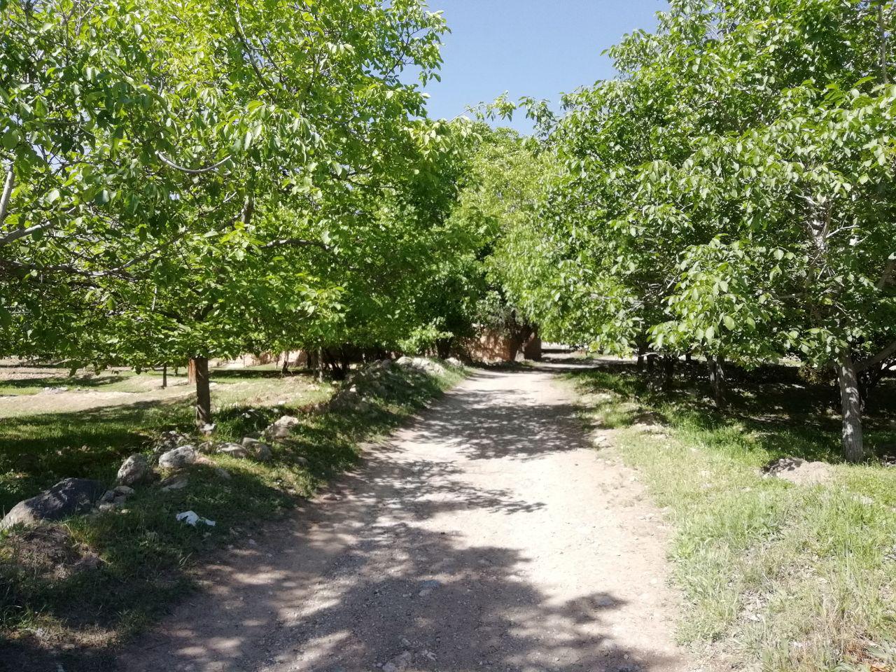 ابدال آباد تربت جام