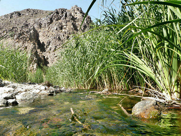 تفرجگاه خارزنج خلیل آباد