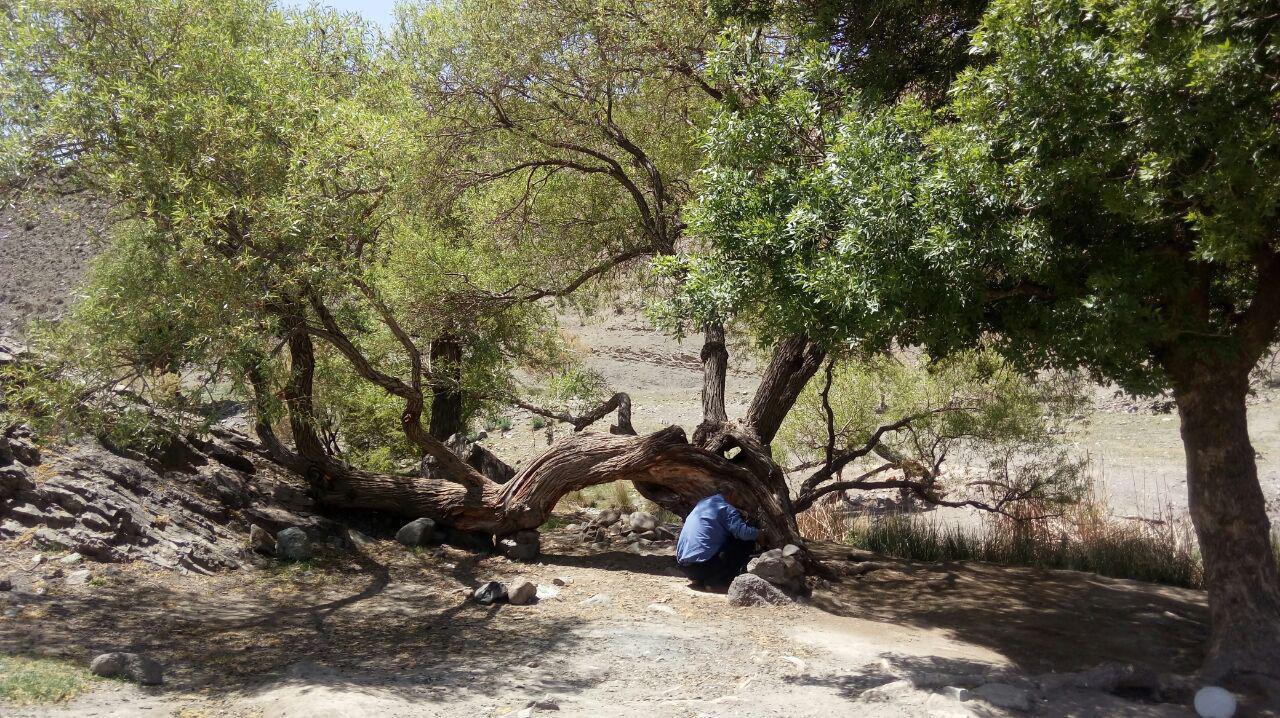 تفرجگاه گرماب سعادت آباد رشتخوار