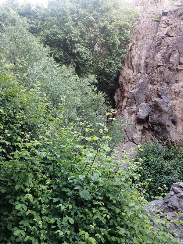 تفرجگاه گرماب سعادت آباد رشتخوار