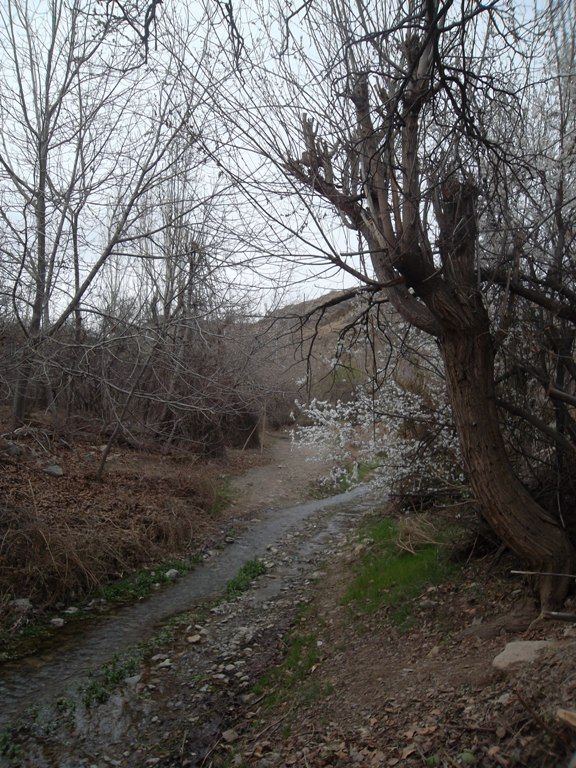 روستای قلعه جوق مه ولات